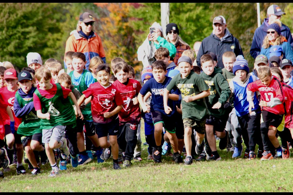 A mass start of a boys' cross country race attracts students from close to 20 schools across North Simcoe to Little Lake Park on Oct. 15.