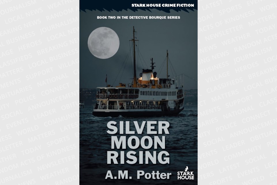 20241113-silver-moon-rising