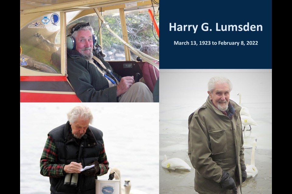 'I just love swans," Harry Lumsden would modestly reply when celebrated for his work reestablishing the birds to Ontario.