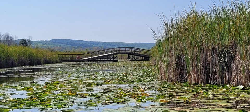 2023-09-04-0057-wye-marsh