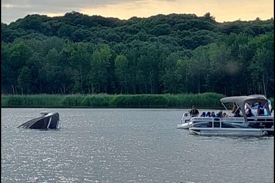 Nine people were rescued after the vessel they were on sank in Papoose Bay.