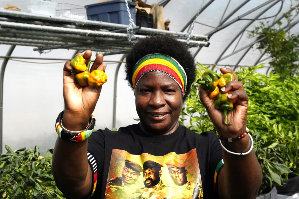 Jacqueline Dwyer shows off some Toronto Black Famers' scotch bonnets, a particularly potent variety of pepper.