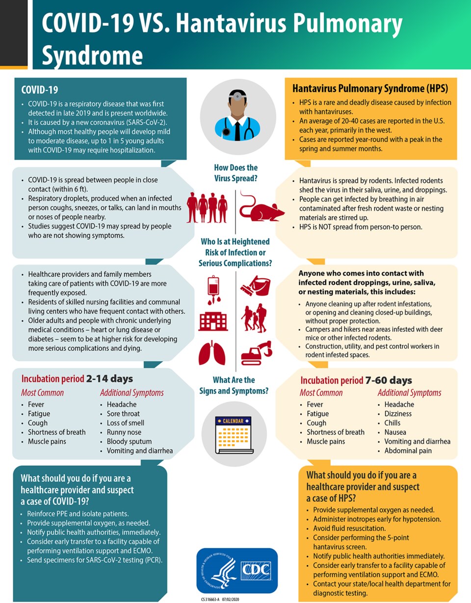 Watch for hantavirus this spring, even if COVID is on your mind ...