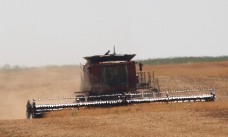 harvest photo ron aug 2020