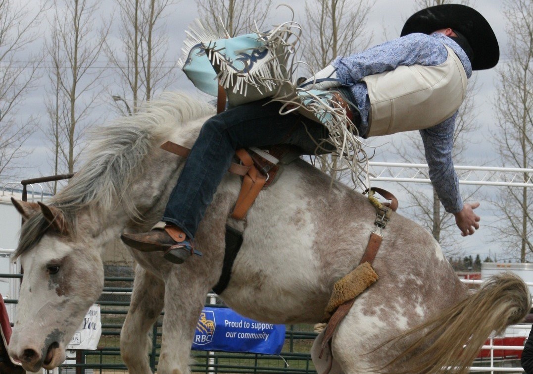 bronc riding rodeo moosejawtoday