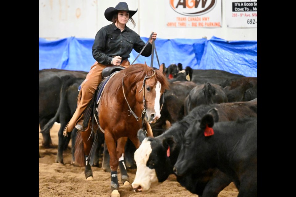 Moose Jaw’s Saskatchewan Cutting Horse Association show featured riders from novice to a hall of fame member who had won over $500,000 competing in the sport.