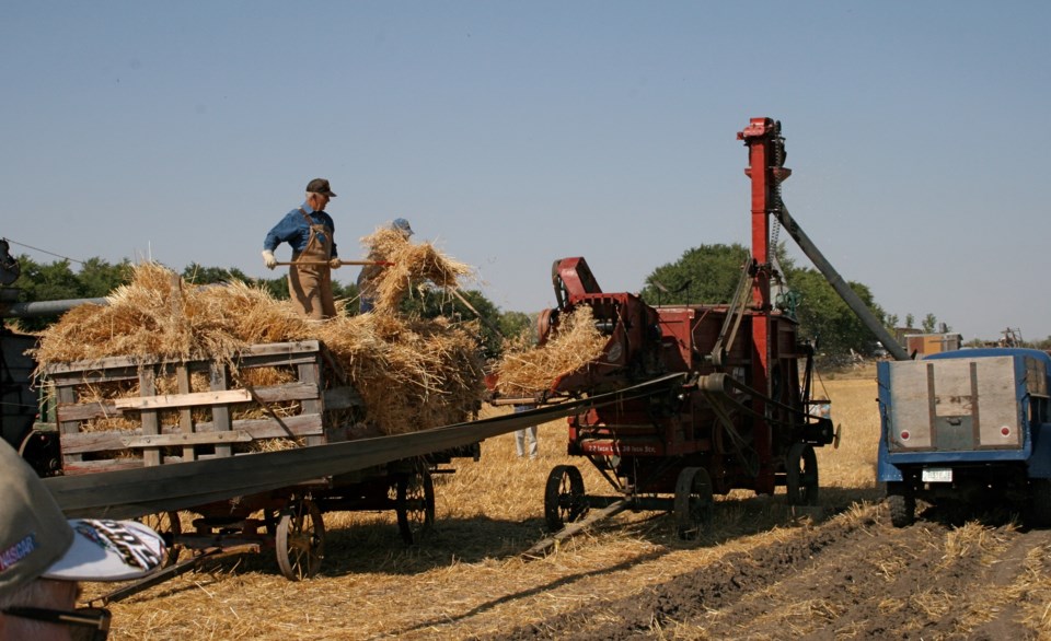 threshing bee opening 2022