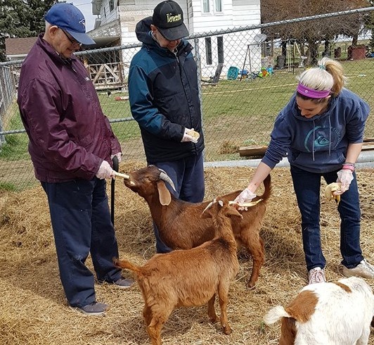 wilsons goats