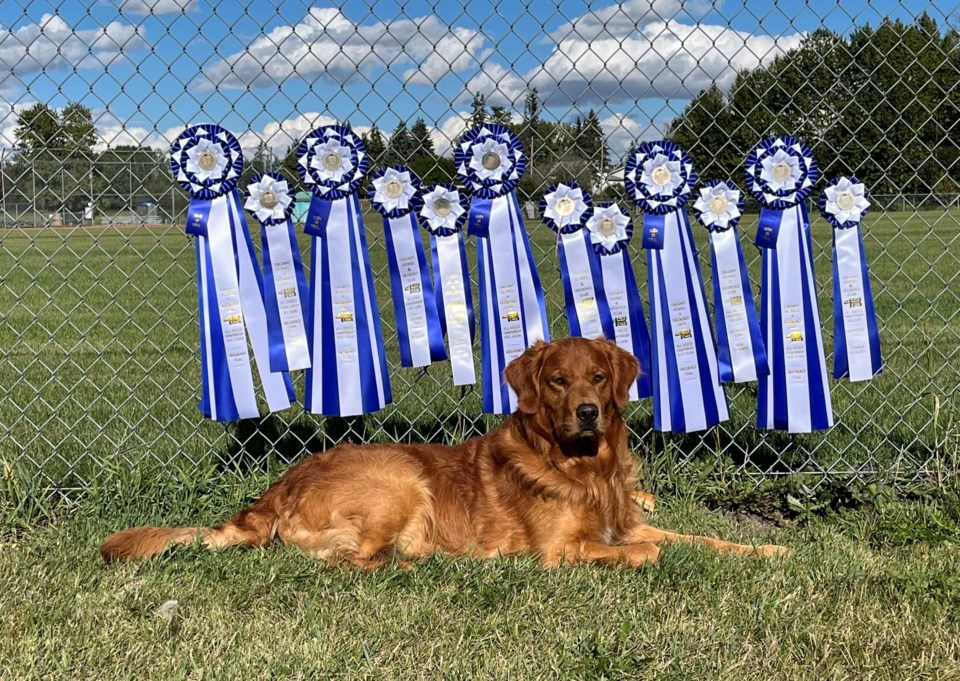 tuck-overs-obedience