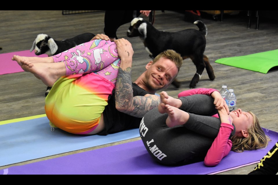 At first some of the participants at goat yoga were a little uncertain about their four-legged companions at the Kinsmen Inclusion Centre Tuesday. (Matthew Gourlie photograph)