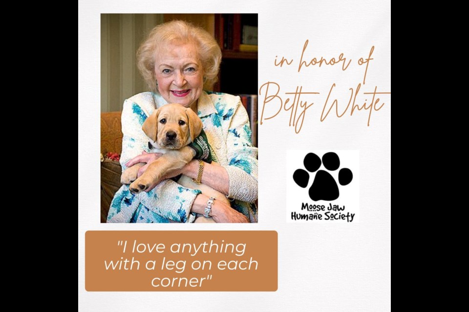 Area animal rescue groups received over $20K during Betty White ...