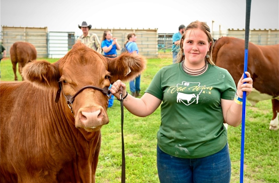 championsteer