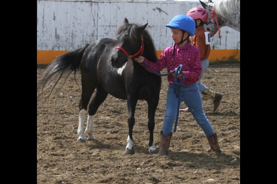 The Eyebrow Fair horse show had a large number of new classes geared to youngsters.