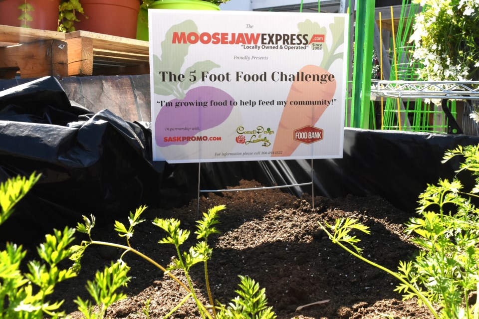 Peavey Mart Moose Jaw is now on board with the Five Foot Food Challenge and is growing tomatoes and carrots in support of the food bank.