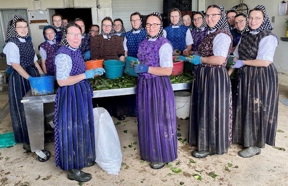 gathering-vegetables