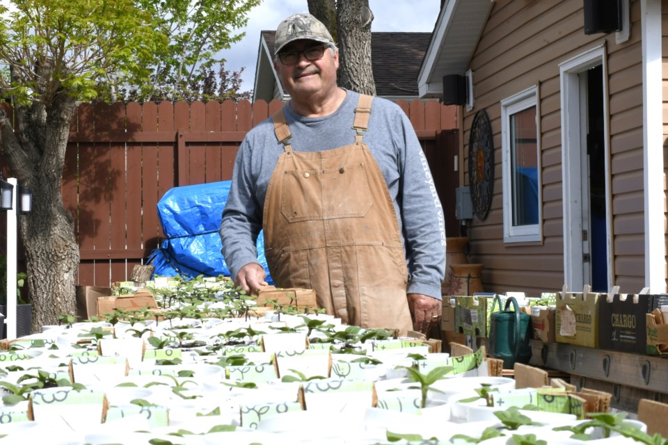 Len Mintenko, pictured here at his home address, has planted approximately 1,200 sunflowers in five varieties to help support the Moose Jaw Humane Society.
