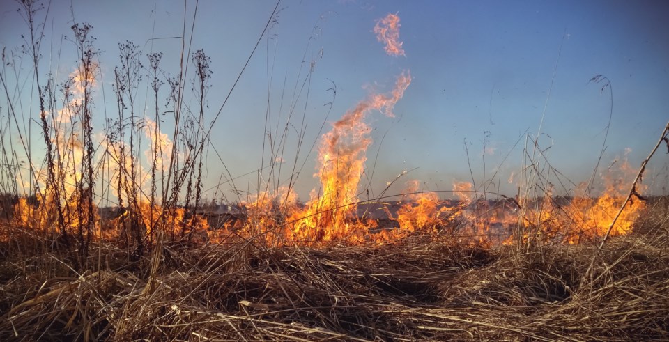 prairie-fire-stock