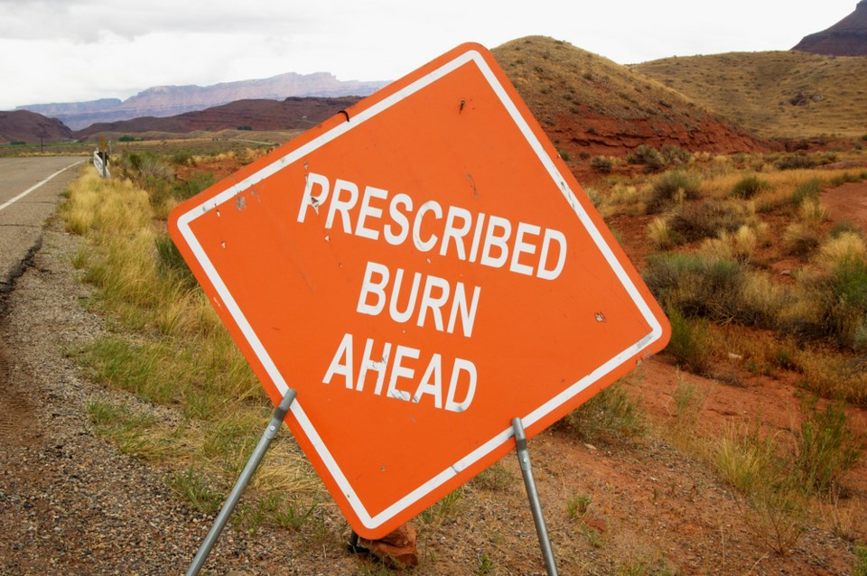 prescribed burn