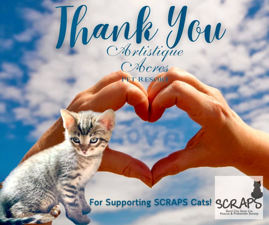 thank-you-scraps