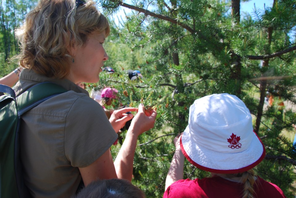 ID'ing trees