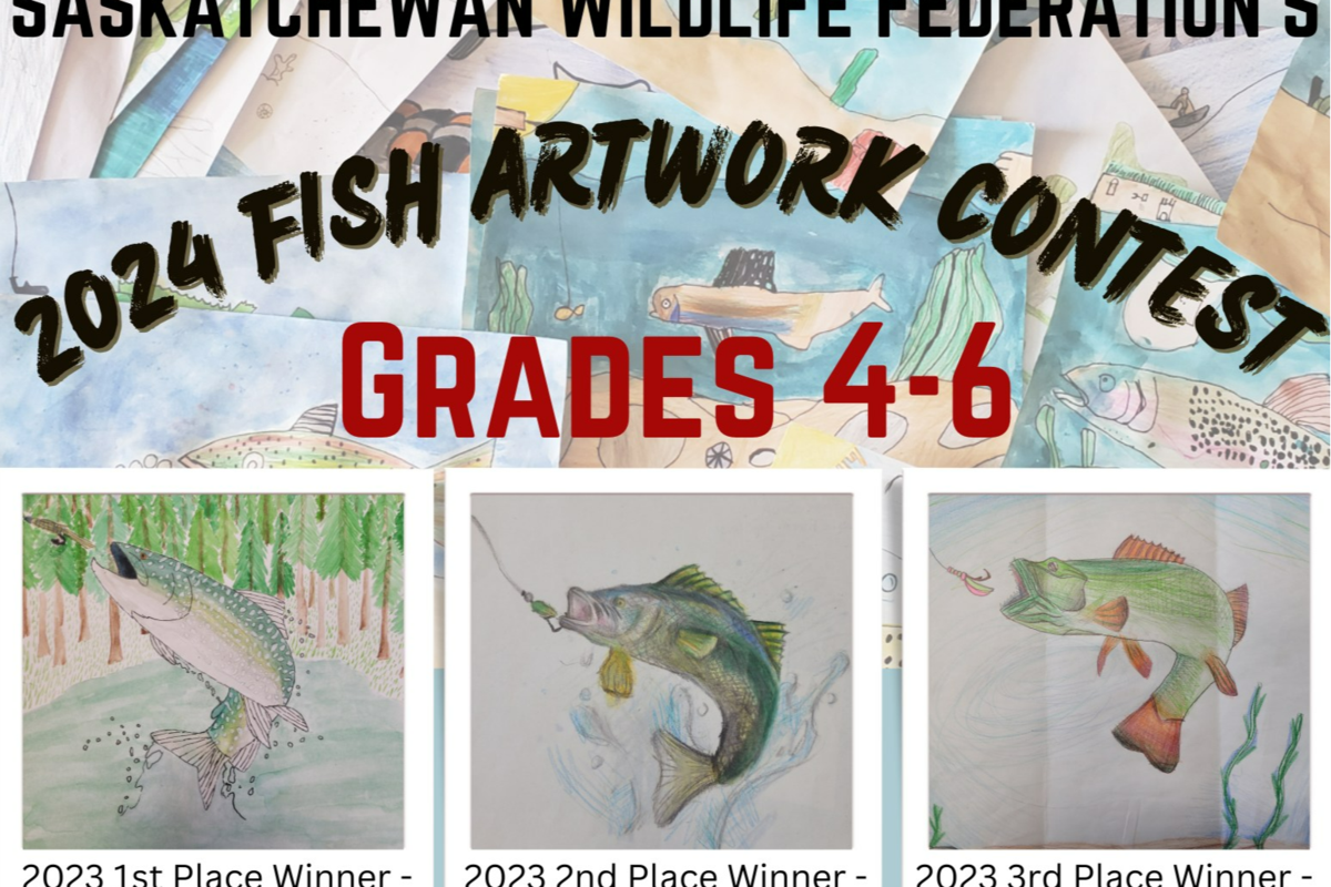 Aspiring young artists can showcase drawings in Wildlife