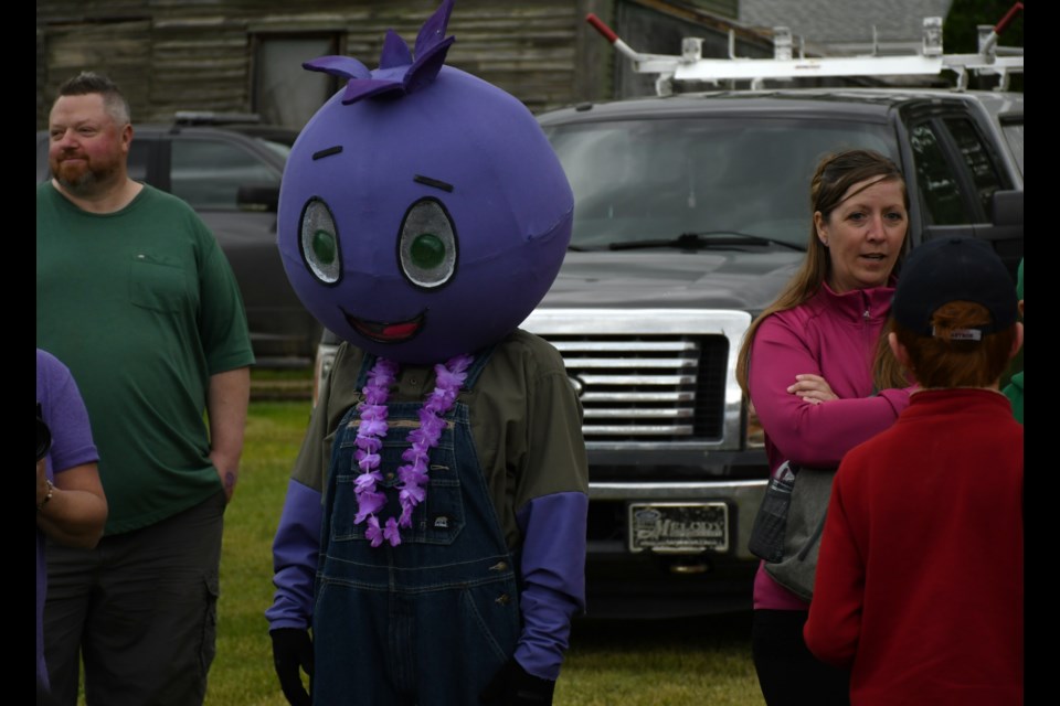 Mortlach's new mascot for the Saskatoon Berry Festival, "Berry," made their first festival appearance this spring.