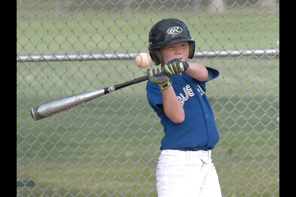 Little League Blue Jays