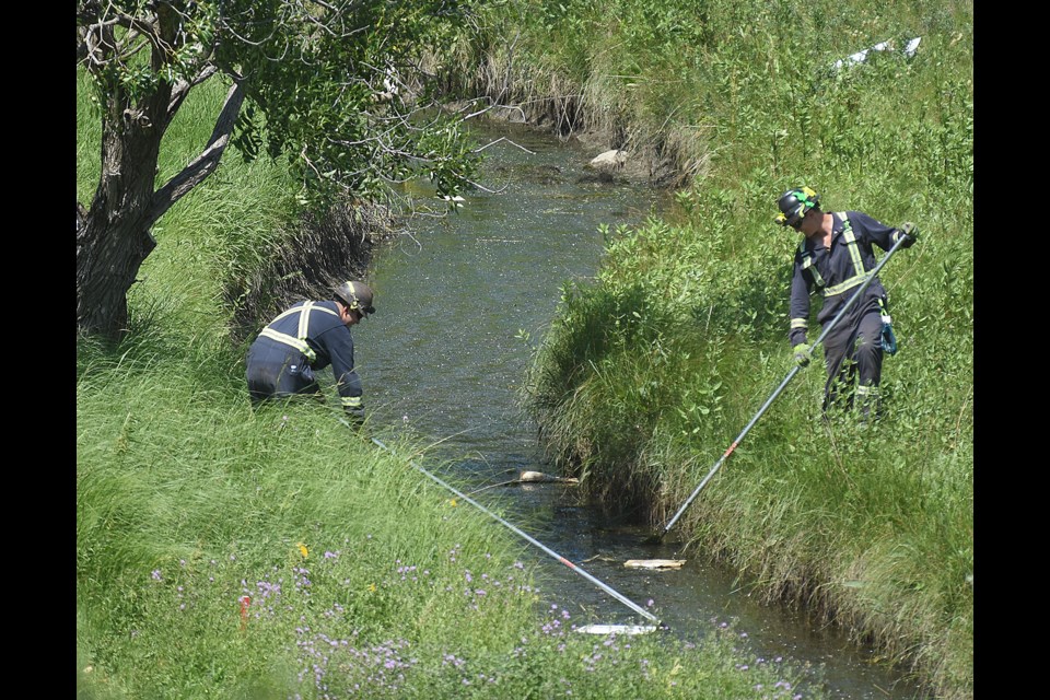 Work crews clean a stream in the valley next to the seventh and 10th holes.
