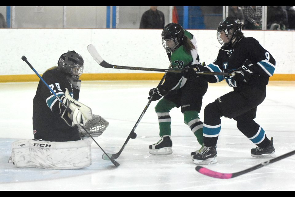 The Mavericks’ Nikita Halyk gets a shot on goal during second period action.