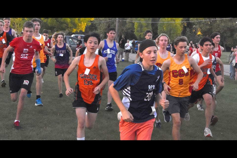 Runners on the course in Wakamow Valley during the 20th annual Moose Jaw Invitational Cross Country Meet. 