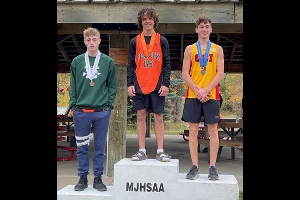 South Central district senior boys cross country medalists are Joseph Hodgon-Koch (bronze, Peacock), Payton Kell (Peacock, gold), Ben King (Central, silver).