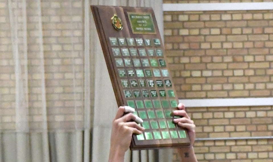 high-school-volleyball-plaque