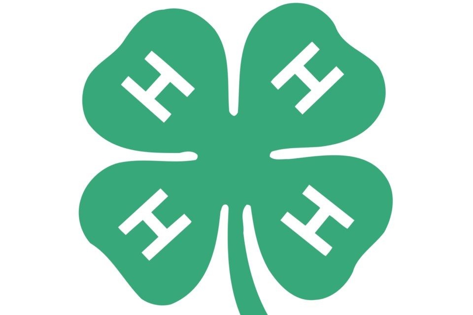 mvt-4h-club-logo