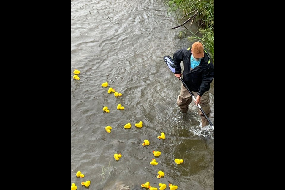 Volunteers of the annual Great Bearberry Duck Race diligently man the creek’s banks to herd as well as ensure each rubber ducky is recaptured.
Photo courtesy of Marjorie Smeet 