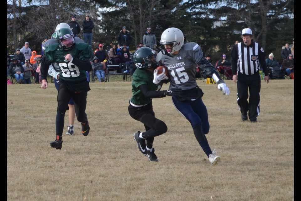 Aidan Knobben (15) of the Olds bantam Bulldogs tries to evade a tackler during the bantam football championship, held Oct. 29 at Normie Kwong Park in Olds.