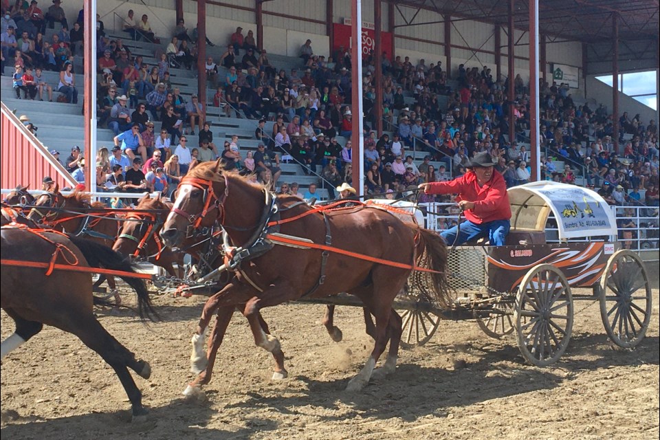 Gary Salmond seemed to relish the thrill of the moment as he drove his team of horses past the stands at the Sundre Rodeo Grounds last year during the chuck wagon races at the final performances of the 2022 edition of Broncs, Bulls and Wagons. This year's event takes place Aug. 25-27.
File photo/MVP Staff