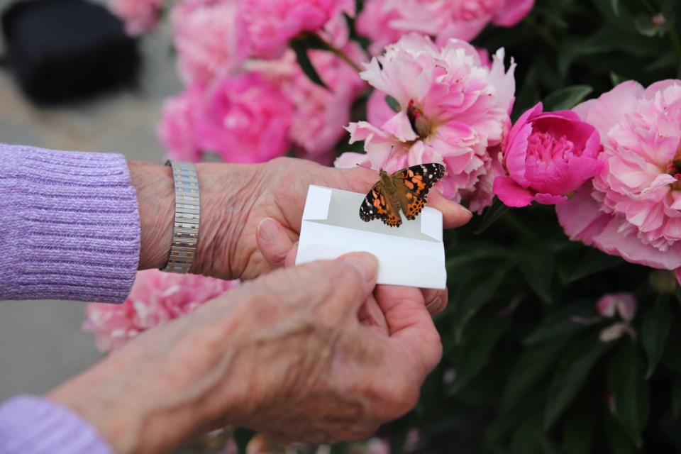 Jackie Bates releases a butterfly in memory of her daughter Fern Corsiatto.
Doug Collie/MVP Staff