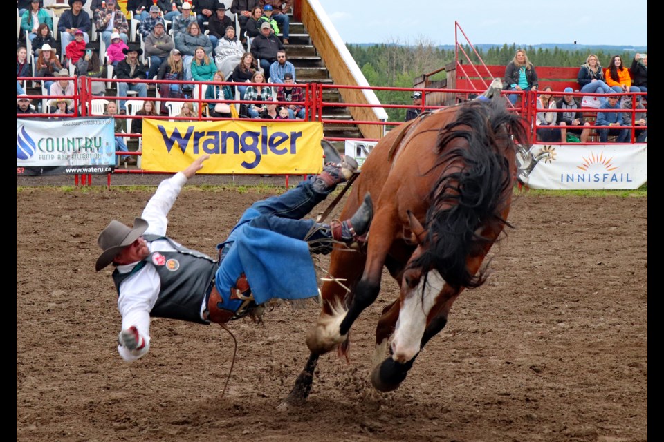 Determined cowboy on a thrilling bareback ride on June 15 at the 63rd annual Daines Ranch Pro Rodeo. Johnnie Bachusky/MVP Staff