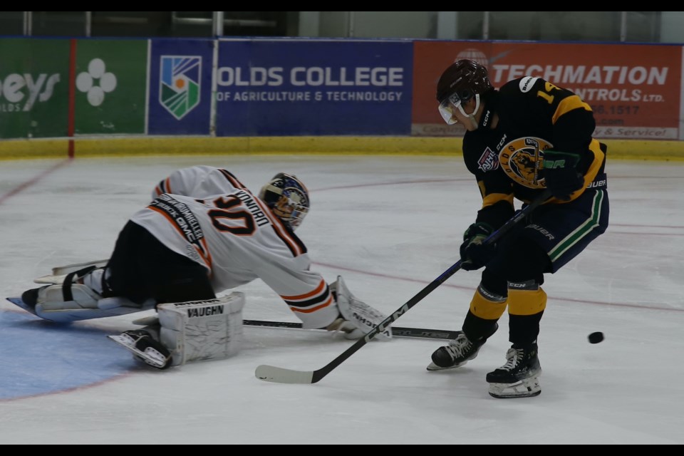 Drumheller goaltender Matthew Kondo poke checks the puck away from Grizzlys forward Yibin Yew during an exhibition game between the Olds Grizzlys and Drumheller Dragons Sept. 4 at the Olds Sportsplex.
Doug Collie/MVP Staff