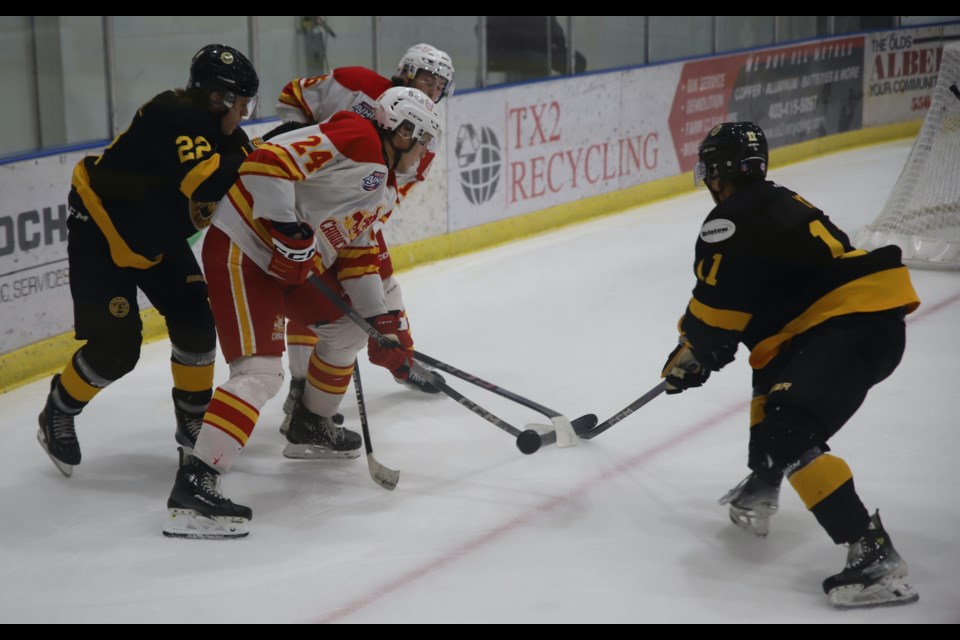 Olds Grizzlys forwards Conner Seeley (22) and Yibin Yoo (11) battle for the puck against a couple of Canucks teammates during a game between the Olds Grizzlys and the Calgary Canucks Oct. 4 at the Sportsplex. 
Doug Collie/MVP Staff