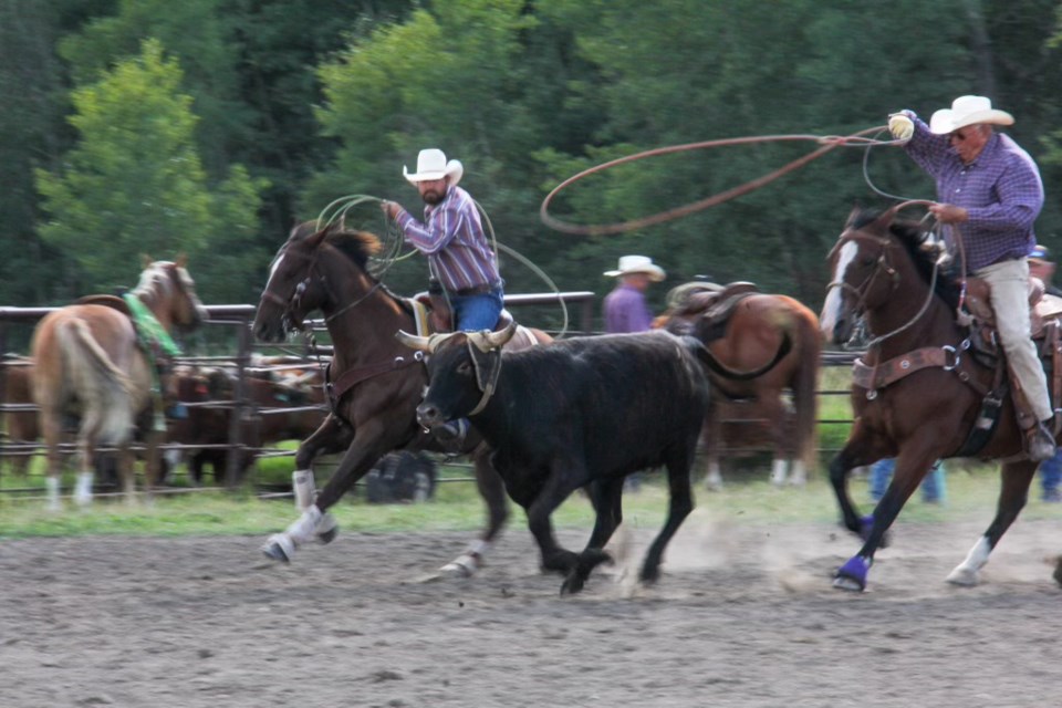 The 23rd edition of the Howard Smith Memorial Team Roping fundraiser for ALS had 70 ropers come out. Since each contender has the option to rope with up to three different heelers, there were 153 teams overall. 
Photo courtesy of ALS Society of Alberta