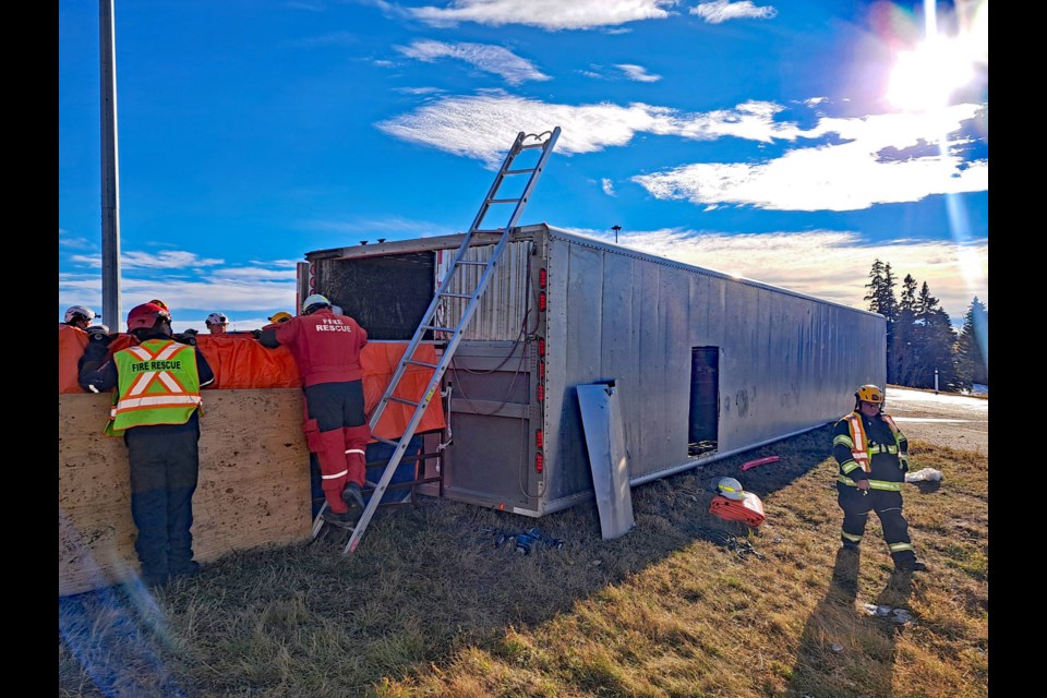 Emergency response teams race to save cattle from an overturned cattle liner that crashed on the Highway 590 overpass just east of Innisfail shortly after noon hour on Nov. 7. 
RCMP photo