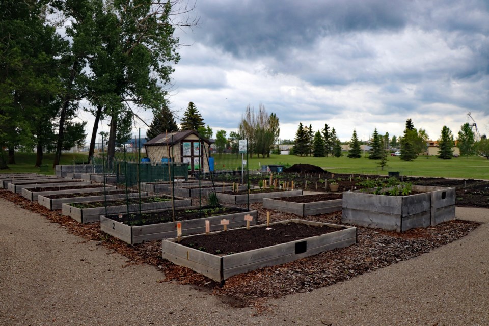 mvt-innisfail-community-garden-expansion-begins-2024