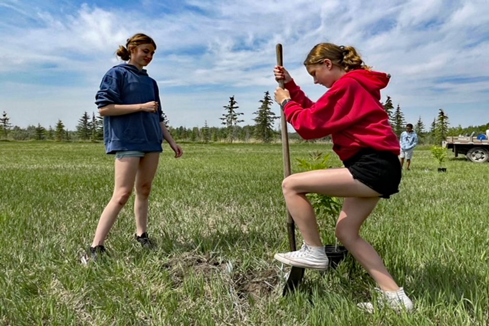 Middle school students from St. Marguerite Bourgeoys Catholic School eagerly plant baby trees and shrubs on the old reclaimed snow dump site outside the Innisfail Cemetery on May 31 at a special event hosted by Johns Manville. Johnnie Bachusky/MVP Staff