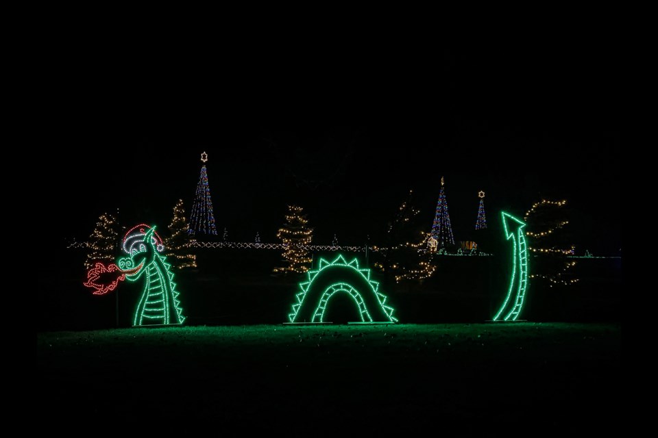 A dazzling new dragon display lights up the early evening at Innisfail's Discovery Wildlife Park on Nov. 15, the opening of the third annual Light the Night event that is running every evening until Jan. 5. Photo by Candice Hughes 