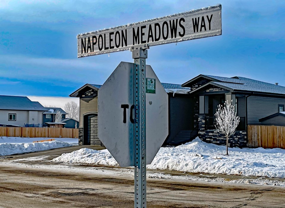 mvt-napoleon-meadows-1-2024