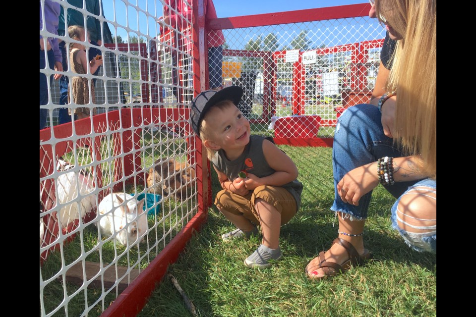 Kooper Wirchenko, 2, who came out with mom Jessie Fitzgerald, from Sundre, was delighted to see some bunny rabbits at the petting zoo set up just behind the Sundre Arena during last year’s Neighbours’ Day. The 2024 edition takes place this Friday, Aug. 23. 
File photo/MVP Staff