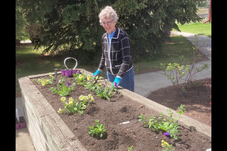 Elsie Machell, the group lead for volunteer gardeners at the Olds Hospital and Care Centre (OHCC), surveys her handiwork. 