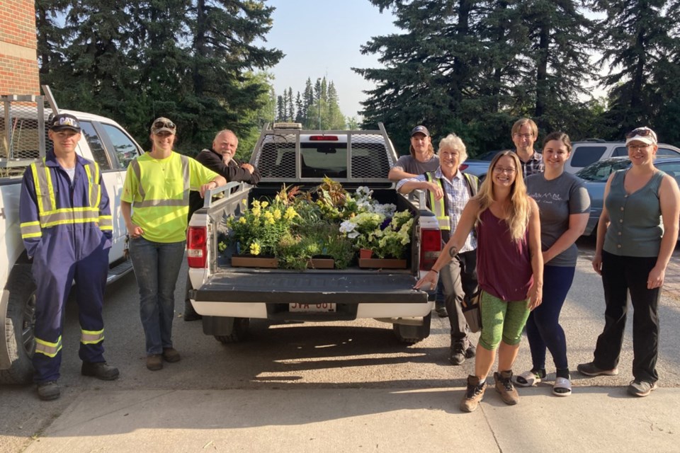 MVT Plants donated by OC