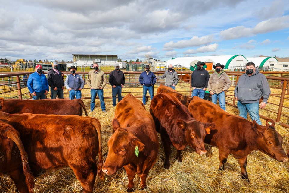 MVT Red Angus donation group